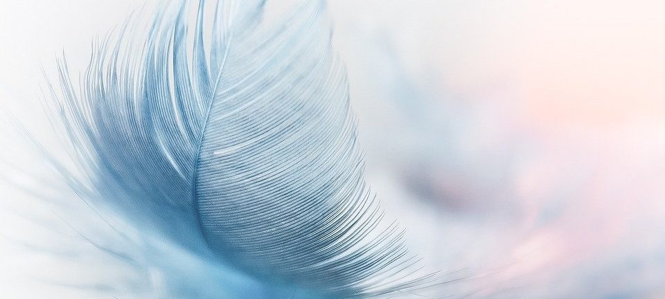 Walking Alongside Families Living with Dementia